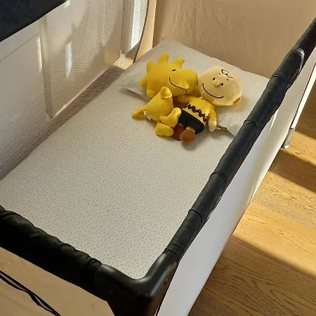 아파트 